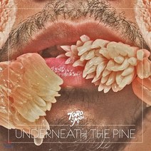 [CD] Toro Y Moi (토로 이 므와) - 2집 Underneath the Pine