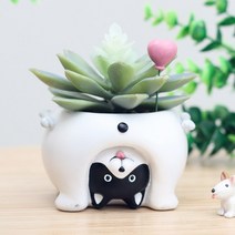 ROOGO 루고 화분 거꾸로 보는 세계 강아지