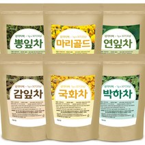 국화차 구아바잎차 연잎차 감잎차 박하차 장미차 마리골드 꽃차 티백 잎차 효능, 9_(티백)감잎차30티백