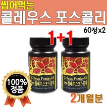 인도 콜레우스 포스콜리 분말 추출물 가루 60정x2통 2개월분 대용량 씹어먹는 츄어블 먹는 콜레우스포스콜리정 화학 첨가물 없는 타블렛 코레우스 콜리우스 폴레 우스 포스콜린 간편한