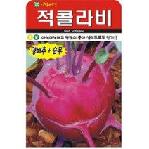 AR 적콜라비 맛이 좋은 콜라비 씨앗 300립, 1개