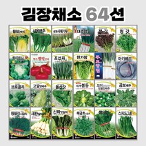 김장채소 64선, 58.아카짱적양파[80G]