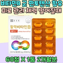 비오틴 판토텐산 비타민B 군 육체피로 체력 소모 영양제 엽산 나이아신 보충 클로렐라 블루베리 비타민 B1 B5 B6 B12 체력 유지 소모 보충 VitaminB 피로회복 추천