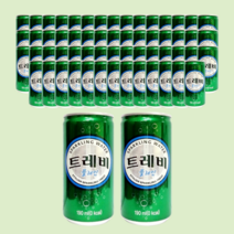 트레비 탄산수 캔음료 190ml 60개 플레인 탄산음료, 190ml 60캔