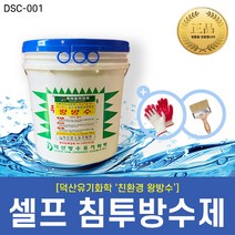 [DS_Chemical] 친환경 셀프 침투 방수제 - 왕방수 (1L 4L 10L 18L), 왕방수-1L