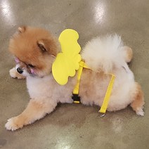 예펫 날개 하네스 강아지 고양이 가슴줄, 하네스_핑크_M