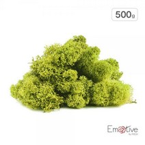 [이모티브 모스] 천연이끼 프리저브드 레인디어 모스(500g), 500g/옐로우