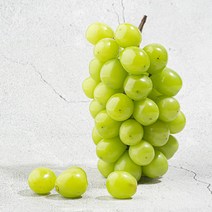 경북 샤인머스켓 고당도 망고포도 실속형 특품, 1개, 샤인머스캣 특품 1kg (2수)