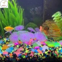 둘째언니 어항인조돌 수족관꾸미기돌 어항장식돌 야광자갈, 색상, 퍼플