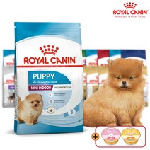 로얄캐닌 미니인도어퍼피 1.5kg 생후3개월-10개월 10kg미만 소형견용 퍼피사료, 2포이상구매시 데일리 미니캔 1개 증정, 24.05