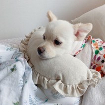 강아지베개, 반달베개 레이스형