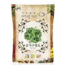 푸른들판 국내산 건조 말린 삼지 구엽초 음양곽 차 건조 말린것, 100g, 1개