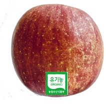 맛없으면 3배보상 유기농 사과 3kg 5kg (매장판매용), 유기농사과 5kg (13~15개)