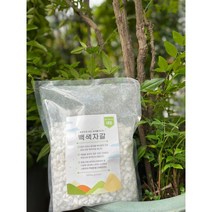 백색자갈 1Kg 2.5Kg) 흰돌 화분 어항 바닥재 다육이 조경 자갈돌 수경재배돌 인테리어돌, 2.5Kg - 소립