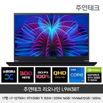 주연테크 L9W38T 17형 게이밍노트북 인텔 i7-12700H RTX3080Ti 155W QHD 165Hz 논옵티머스, Free DOS, 16GB, 512GB, 코어i7, 블랙