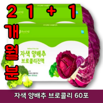 자색 양배추 브로콜리 즙 진액 착즙 추출액 위에좋은 적양배추 소화잘되는 건강즙