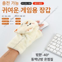 Zoomland USB 충전식 무선 장갑 발열 장갑 겨울 보온 사무실용, 흰색