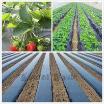 농자재 농장용 비닐하우스 장비 농촌체험 농장관리 장비 블랙 농업 그늘 필름 딸기 필름, 5홀 0.95x10m