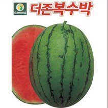 복수박 씨앗(10립) 수박씨앗
