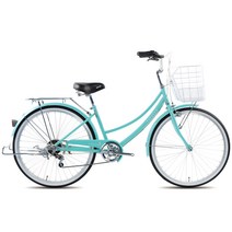 알톤바구니자전거 가성비 좋은 제품 중 싸게 구매할 수 있는 판매순위 1위 상품