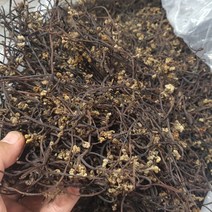 하동 건 고사리 제철 고사리 300g 600g 1kg, 1박스, 건고사리 600g
