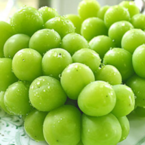 고당도 특품 김천 샤인머스켓 씨없는 청포도 망고포도 샤인머스켓 2kg 김천 샤인머스캣, 3.샤인머스켓1kg  2수