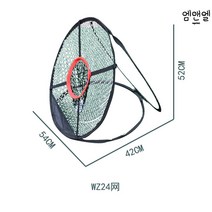 골프 스윙연습기 스크린 파워백 가정용 연습용품 스피드스틱 거목스윙 네트 연습 교정기, WZ24 네트워크