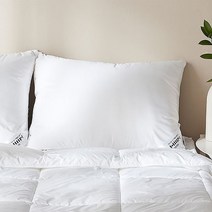 한샘 슬립다이버 다운필 베개솜 50x70, 단일/상품