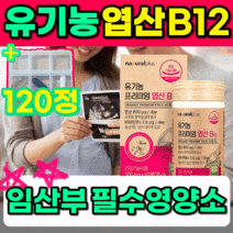 유기농 식물성 비건 엽산 비타민 비타민12 영양제 식약처 인증 식약청 인정 임산부 출산부 수유부 혈액생성 혈액 건강 멀티바티민 종합비타민 순환 흐름 개선 도움 120정 2박스
