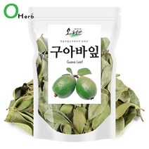 오허브 구아바잎 구아바차, 1팩, 100g