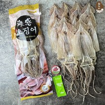 참누리 동해안 건오징어10마리(500g) 고추장 와사비마요 증정