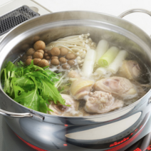 요시카와 인덕션가능 올 스테인리스 양손냄비 IH냄비 25cm, 단일