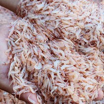 국내산 김장용 생새우 900g 초저온 급속냉동 (300g 3팩)