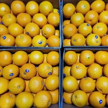 [업소용 대용량] 씨없는 호주산 미국산 네이블 오렌지 오랜지 썬키스트 블랙라벨 Orange 12brix 고당도 (( 8.5kg / 17kg )), 대용량 8.5kg내외 (36~44과내외)