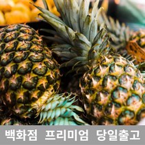 [특등급선별] 파인애플 1.5kg 미니파인애플 파인애플슬라이스 파인애플캔 골드파인애플 리치스파인애플 파인애플가격 리치파인애플 파인애플도매 업소용 랜덤 지역 싱싱한과일 열대과일