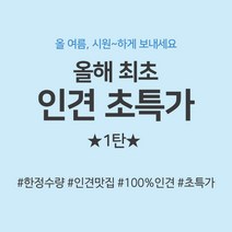 인견초특가 1탄 인견100 인견 24종, 14 달콤사과(레드)
