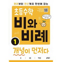 초등 수학 비와 비례 개념이 먼저다 1 : 원리부터 연산까지 한번에 잡는, 도서