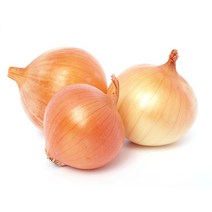 [위두]가락시장 직배송 최상품 국내산 양파5kg 15kg, 1쪽
