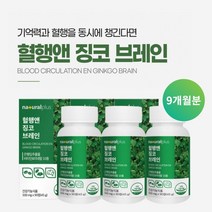 깜빡하는 습관 기억력 집중력 저하 두뇌 뇌 머리 혈액 혈관 혈행 순환 개선 관리 에 좋은 징코 은행잎 추출물 영양제, 3BOX(9개월분), 0.5g