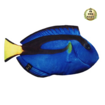 라이브잇 피쉬앤팬시 물고기 필통, 12개, 블루탱.