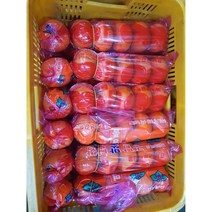 못난이 가성비 단감 맛최고! 가심비최고!, 1박스, 5kg(소과/25-30과)