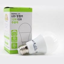 다온조명 LED 시그마빔 전구 12W 벌브형, 주광색