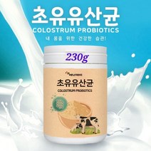 초유 유산균 초유단백질 분말 신 프로 프리 바이오틱스 포스트 혼합 19종 생유산균 가루 락토바실러스 가세리 루테리 불가리스 lgg 람노서스 rgg 뼈엔mbp가루 농축유청단백 대용량, 1통입, best제품(