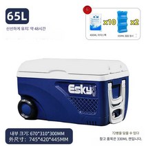 대형 아이스박스 50L 65L 캠핑용 냉장저장고, 50L 업그레이드 모델(PU재질) Free  아이스플레