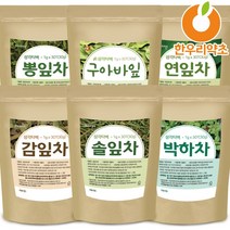 박하차 솔잎차 구아바차 연잎차 감잎차 뽕잎차 삼각티백 효능, 1_감잎차200g