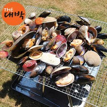 더대박 조개구이 모듬세트 캠핑용 조개찜 조개탕, 1set, 가족 조개세트(큰조개구성) 4kg