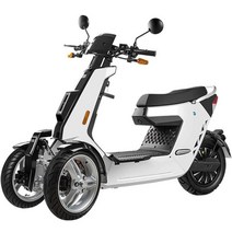 역삼륜 전기 오토바이 전동 스쿠터 세발 3발 3륜 리튬, 표준 버전  화이트