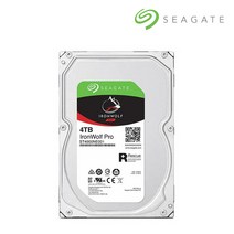 씨게이트 서버용 아이언울프 프로 3.5 HDD, 4TB, ST4000NE001