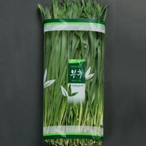 야채봉투 C-42 부추 1박스(5 000장)