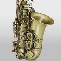 알토 섹소폰 심플 미니 테너 색소폰 케이스 스트랩 리드 고급 골동품 마무리 Eb E 플랫 셸 키 조각 패턴 목 관악기 기타 Aeccessaries